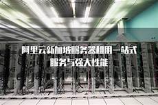 云服务器 在新加坡!面向企业的大数据和人工智能服务